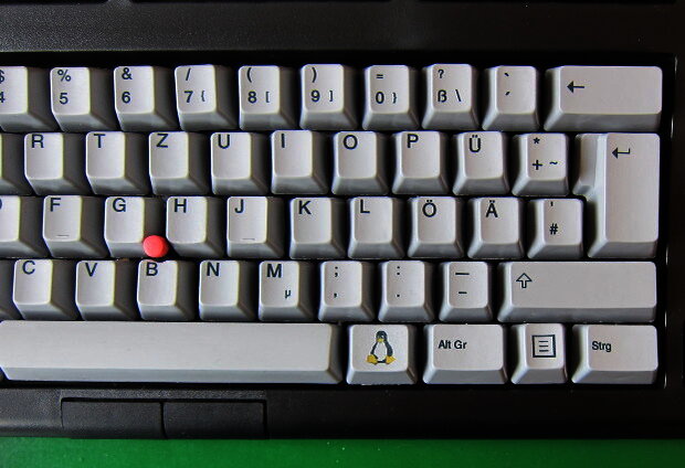 Detail of EnduraPro Keyboard (penguin key, touchpoint)